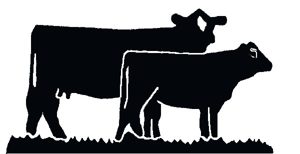 download-5 Catskill Cattle Company